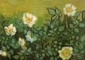 Wild Roses Vincent van Gogh